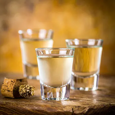 Żubrówka - Polish bison grass vodka
