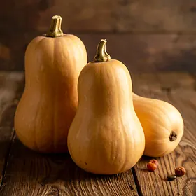 Squash