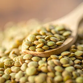 Lentil - nutritious legume