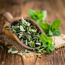 Dried Mint