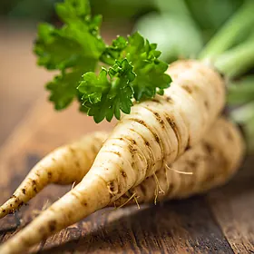 Parsley root - the base of Central European stocks