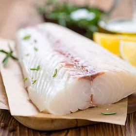 Halibut