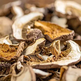 Dried mushrooms