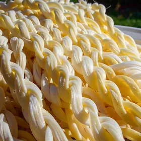 Korbáčiky cheese