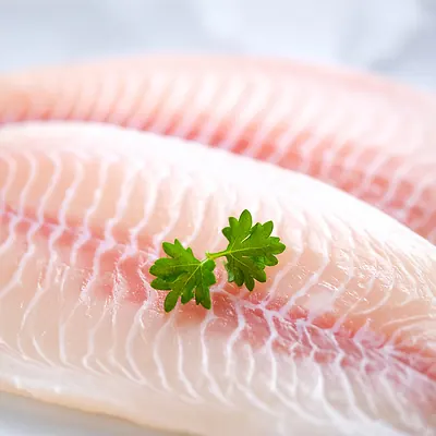 Tilapia