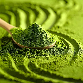 Matcha - Japanese powdered green tea